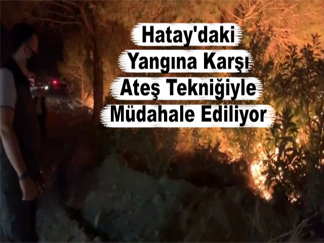 Hatay'daki Yangına, Karşı Ateş Tekniğiyle Müdahale Ediliyor