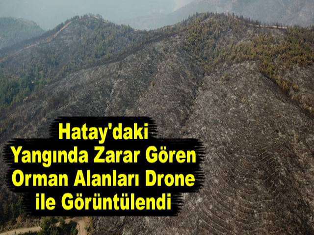 Hatay'daki Yangında Zarar Gören Orman Alanları Drone ile Görüntülendi
