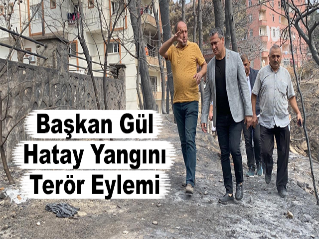 Başkan Gül: Hatay Yangını Terör Eylemi