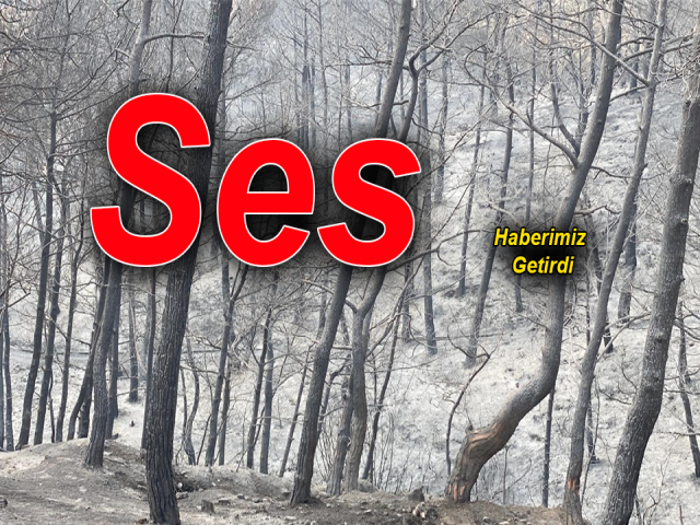 Haberimiz ses getirdi