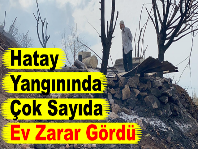 Hatay Yangınında Çok Sayıda Ev Zarar Gördü