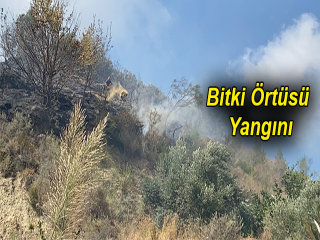 Hatayda Bitki Örtüsü Yangını