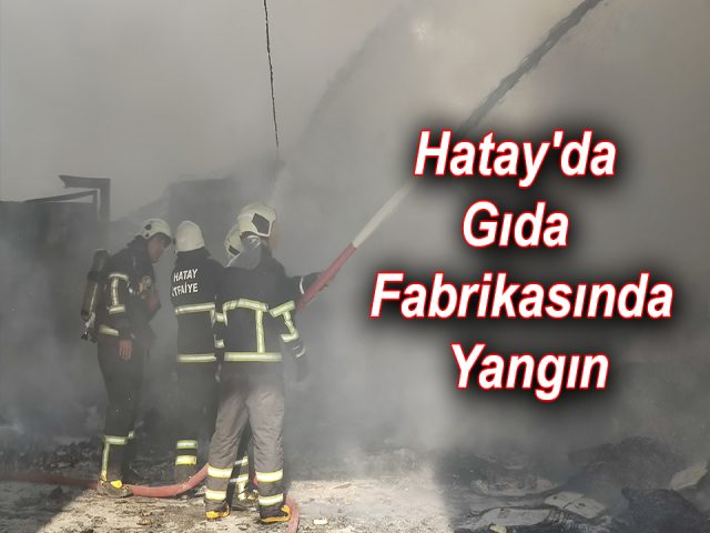 Hatay'da Gıda Fabrikasında Yangın