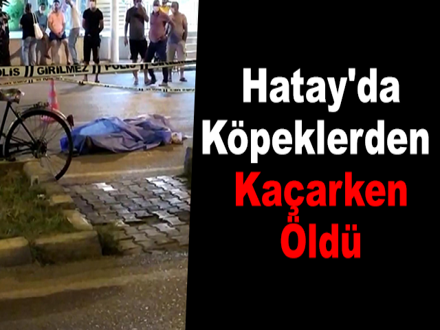 Hatay'da Köpeklerden Kaçarken Öldü