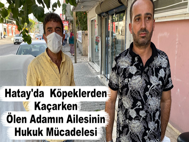 Hatay'da Köpeklerden Kaçarken Ölen Adamın Ailesinin Hukuk Mücadelesi