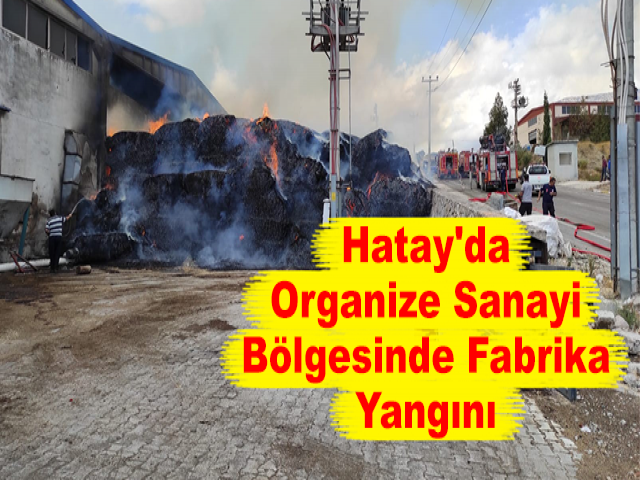Hatay'da Organize Sanayi Bölgesinde Fabrika Yangını