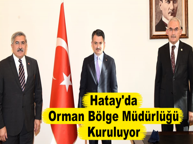 Hatay'da Orman Bölge Müdürlüğü Kuruluyor
