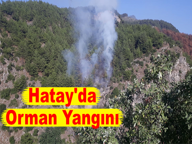 Hatay'da Orman Yangını 1 Hektar Alan Zarar Gördü