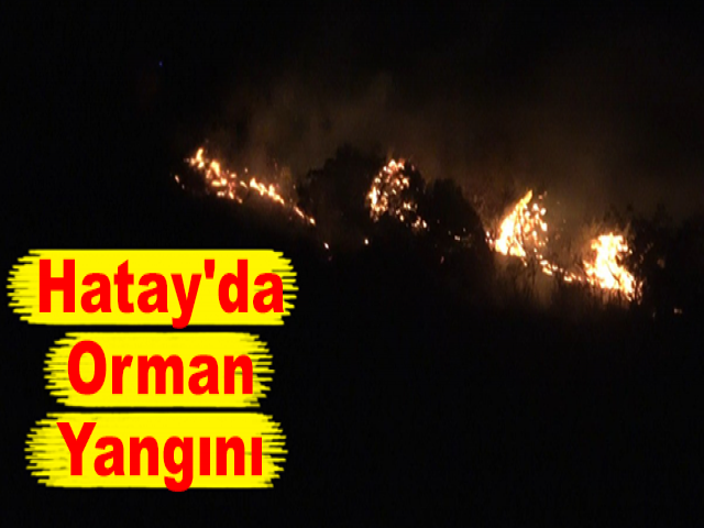 Hatay'da Orman Yangını