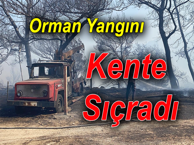 Hatay'da orman yangını; yerleşim yerlerine yaklaştı