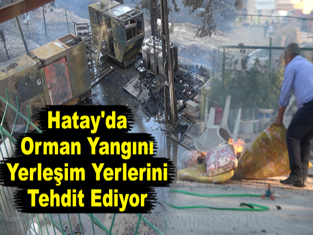 Hatay'da Orman Yangını Yerleşim Yerlerini Tehdit Ediyor