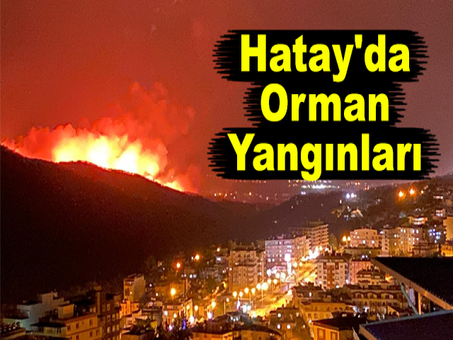 Hatay'da Orman Yangınları