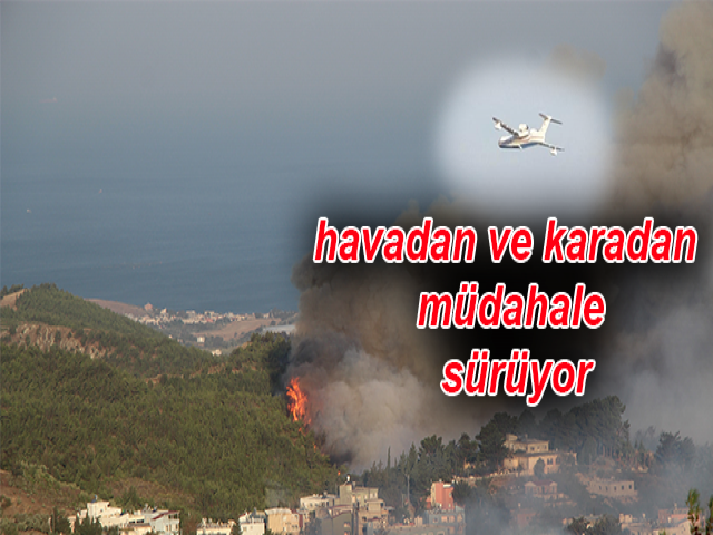 Hatay'da orman yangınlarına havadan ve karadan müdahale sürüyor