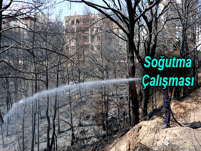 Hatay’da yanan ağaçlar soğutuluyor