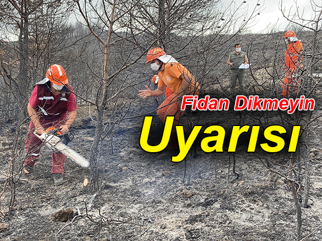 Hatayda yanan ormanlık alana fidan dikmeyin uyarısı