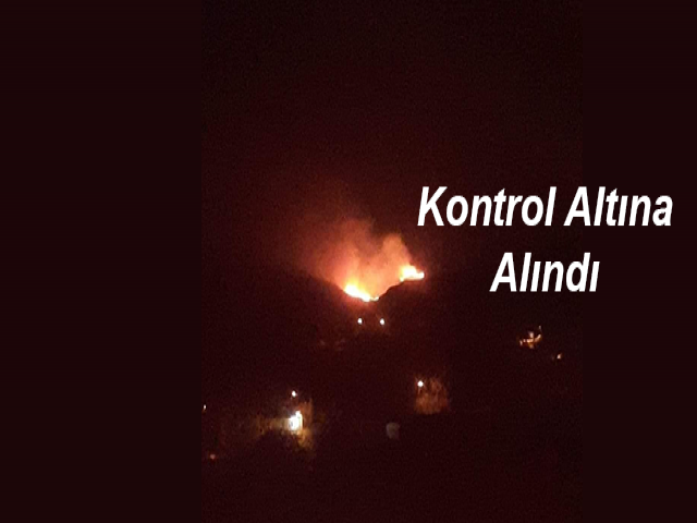 Hatayda yangın kontrol altına alındı