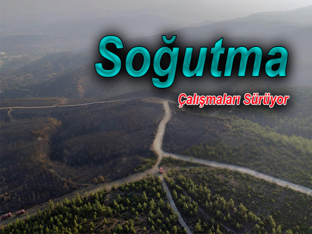 Hatay'da yangını soğutma çalışmaları sürüyor
