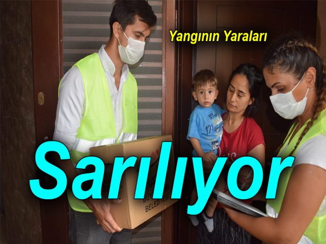 Hatayda yangının yaraları sarılıyor