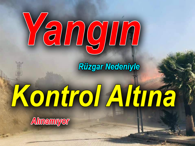 Hatay’daki orman yangını rüzgar nedeniyle kontrol altına alınamıyor