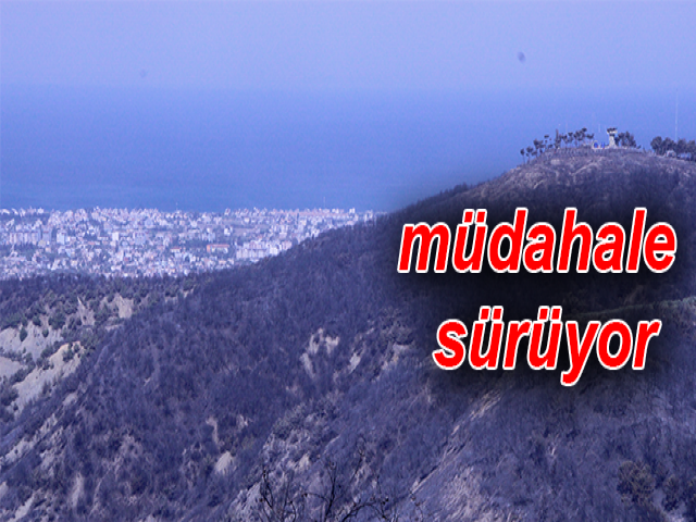 Hatay'daki orman yangınına müdahale sürüyor