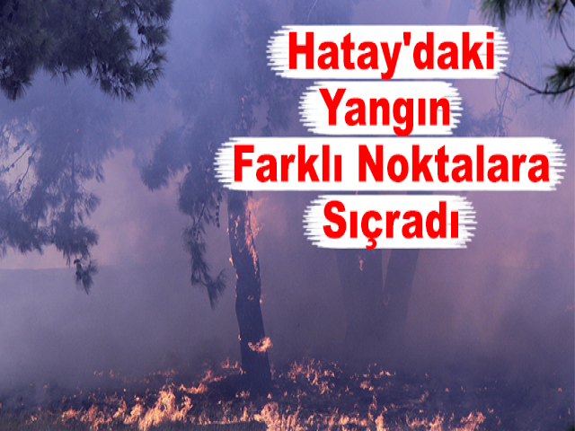 Hatay'daki Yangın Farklı Noktalara Sıçradı