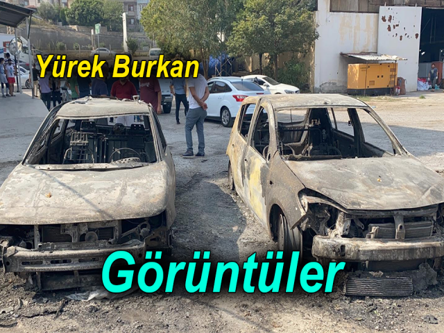 Hatay'daki yangından geriye kalan görüntüler yürek burktu