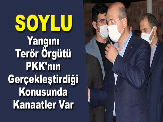 İçişleri Bakanı Soylu: "Yangını terör örgütü PKK'nın gerçekleştirdiği konusunda kanaatler var"