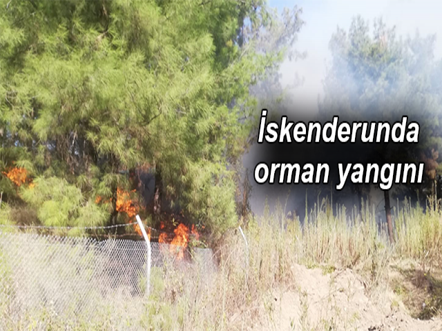 İskenderunda orman yangını çıktı
