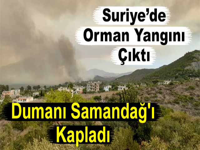 Suriye’de Orman Yangını Çıktı, Dumanı Samandağ'ı Kapladı