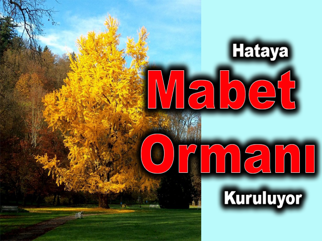 Hataya Mabet Ormanı Kuruluyor