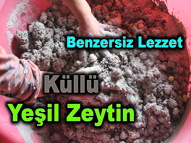 Hatay'ın Benzersiz Lezzeti Küllü Yeşil Zeytin