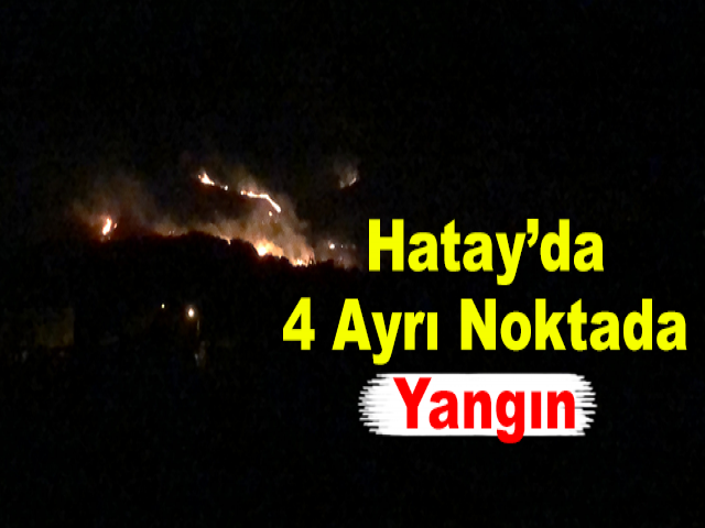 Hatay’da 4 Ayrı Noktada Yangın