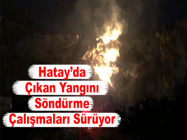 Hatay’da Çıkan Yangını Söndürme Çalışmaları Sürüyor