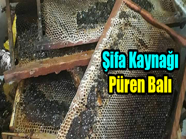 Hatay'ın Şifa Kaynağı Püren Balı 