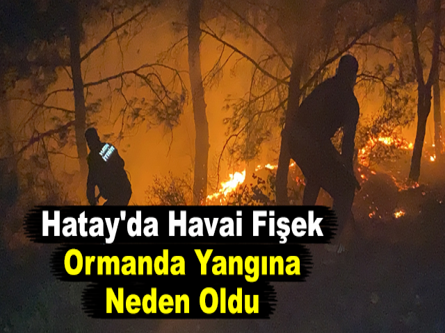 Hatay'da Havai Fişek Ormanda Yangına Neden Oldu