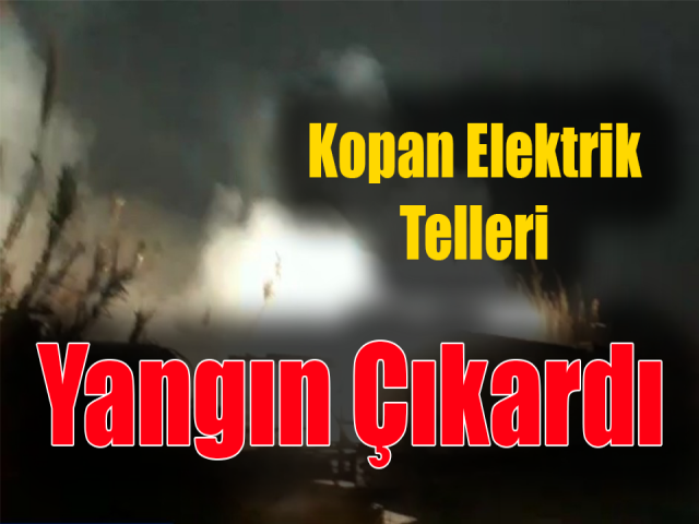 Hatay'da kopan elektrik telleri kamışlık alanda yangın çıkardı