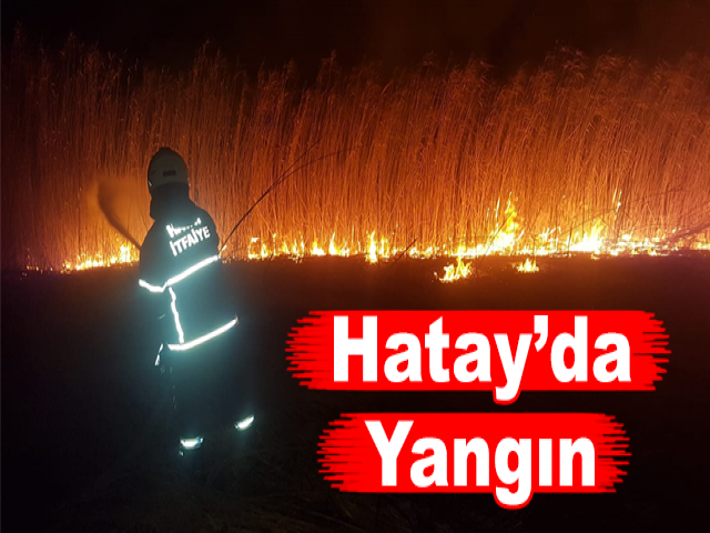 Hatay’da Sazlık Yangını