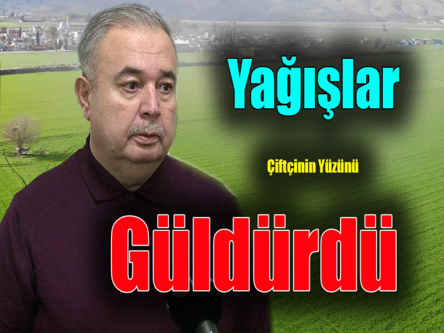 Hatayda yağışlar, çiftçinin yüzünü güldürdü
