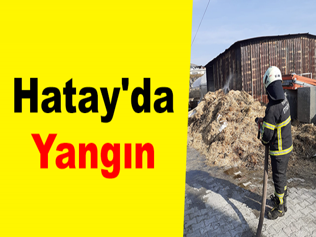 Hatay'da Yangın