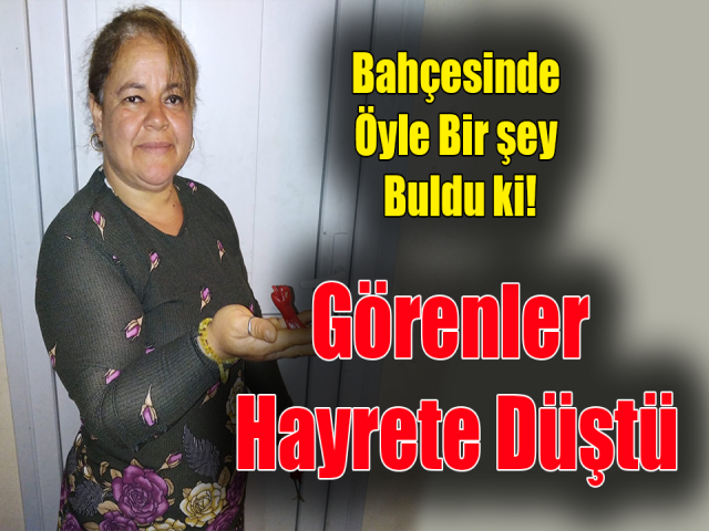 Hatay'lı Çiftçiyi Hayrete Düşüren Ürünü