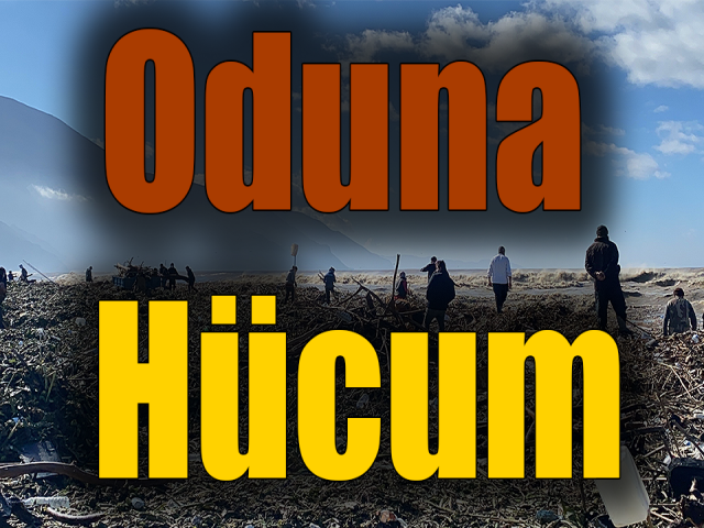 Samandağ sahilinde oduna hücum