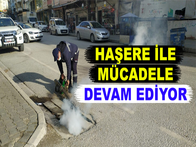 HAŞERE İLE MÜCADELE DEVAM EDİYOR