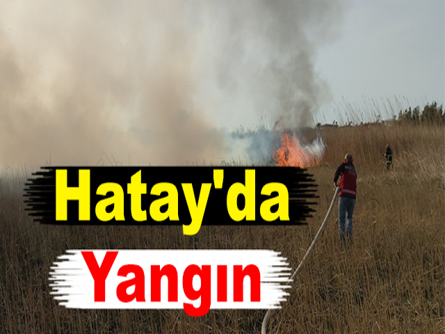 Hatay'da Yangın