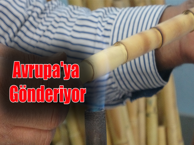 Hatay'ın özel kamışından yaptığı neyleri Avrupa'ya gönderiyor