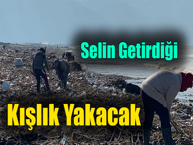 Selin getirdiği kışlık yakacak