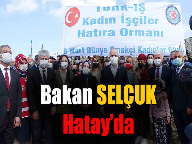 Bakan Selçuk, Hatayda