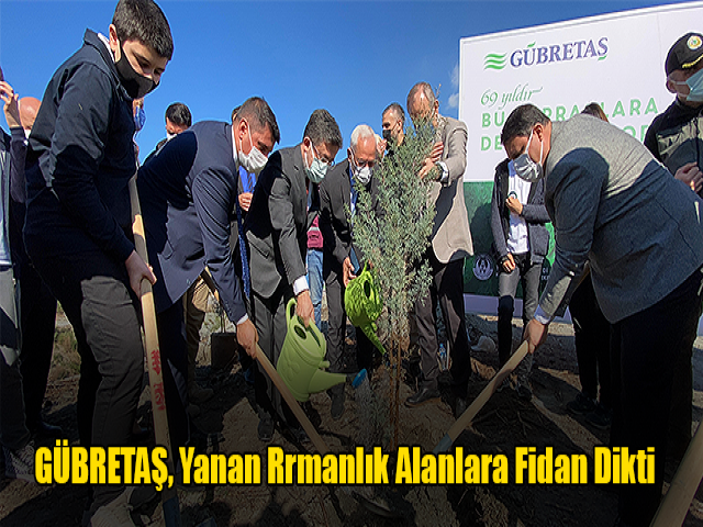 GÜBRETAŞ, Hatayda yanan ormanlık alanlara fidan dikti