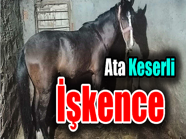 Hatayda Ata keserli işkence
