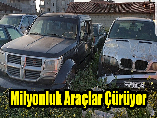 Hatayda milyonluk lüks araçlar çürümeye terk edildi