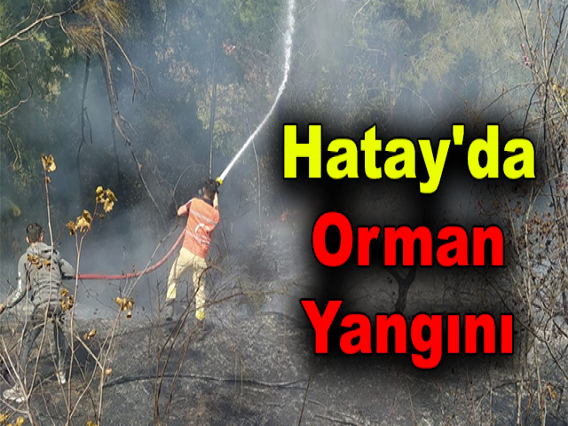 Hatay'da Orman Yangını